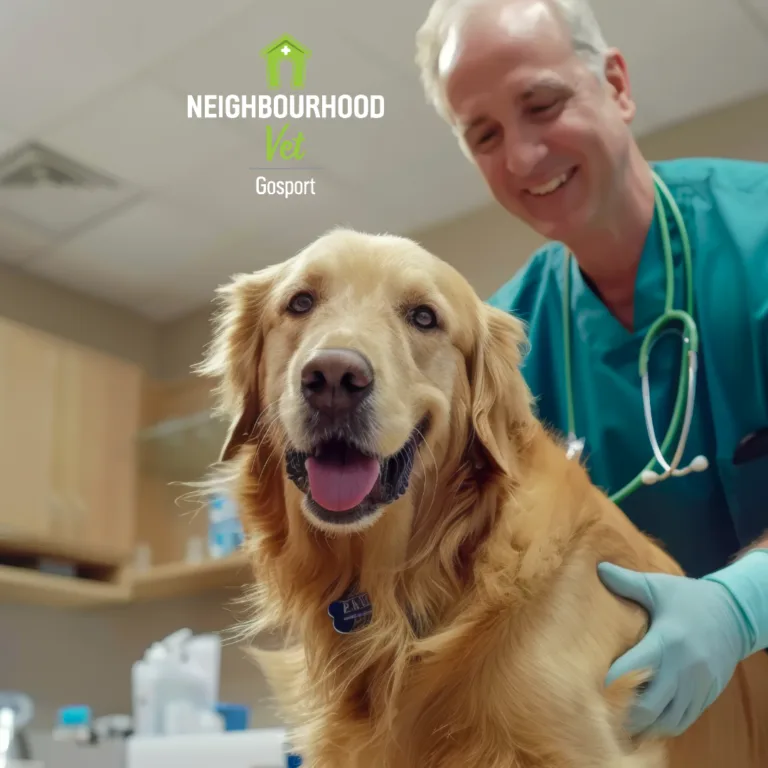 Neighbourhood Vet in Gosport, a veterinary practice using an ATS Connection phone system